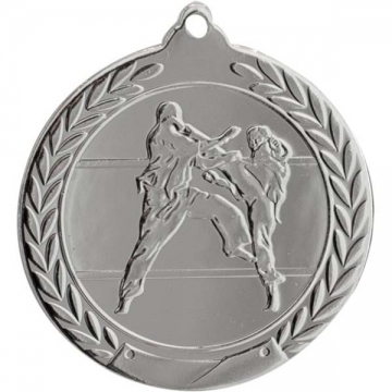 trofeos de artes marciales